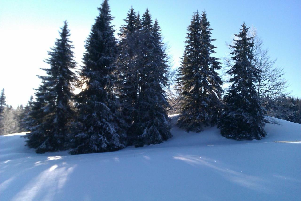 Chalet Daria เพรมานง ภายนอก รูปภาพ